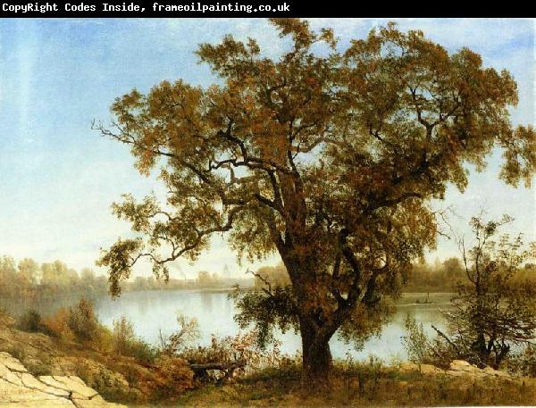 Albert Bierstadt A View From Sacramento
